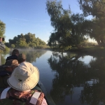 Excursii cu barci rapide in Delta Dunarii