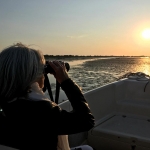 Excursii cu barci rapide in Delta Dunarii