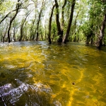 Sejur in Delta Dunarii cu cazare la Maliuc - 3 zile