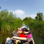 Inchiriere barci rapide in Delta Dunarii